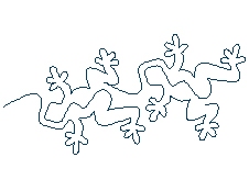 gecko02.jpg
