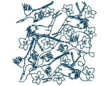 japanesecranes.jpg