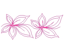 leaves04.jpg