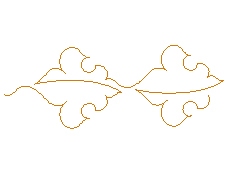 insignia.jpg