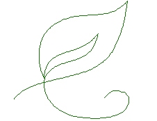 leaves01.jpg