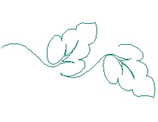 leaves13.jpg