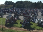 Lots of Harleys