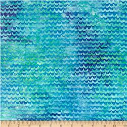 Medium_0344579 - Scallops border