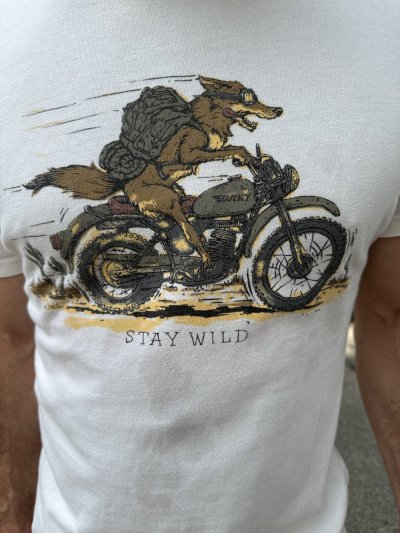 Stay WIld
