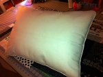 Miami Pillow Back