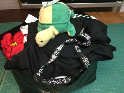 Turtle