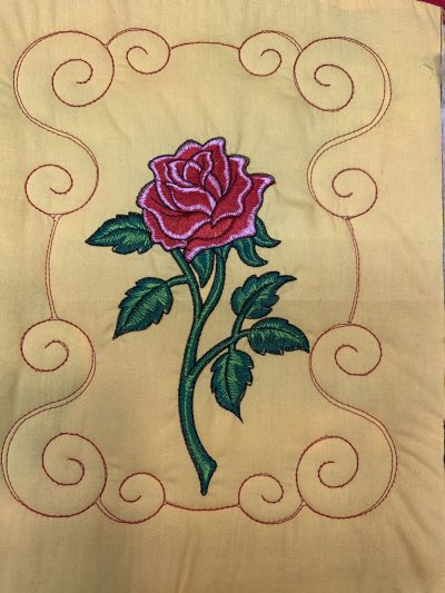 Closeup Rose