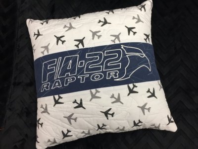 Airplane Pillow