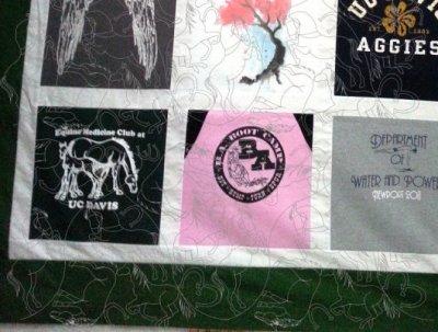 Horses