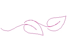 leaves12.jpg