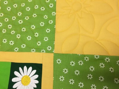 Yellow Daisy